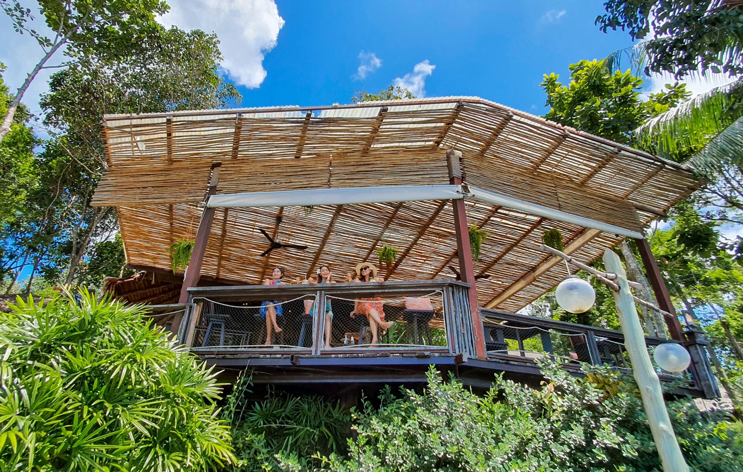 The Jungle Bar